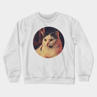 Fast floppy cat Crewneck Sweatshirt